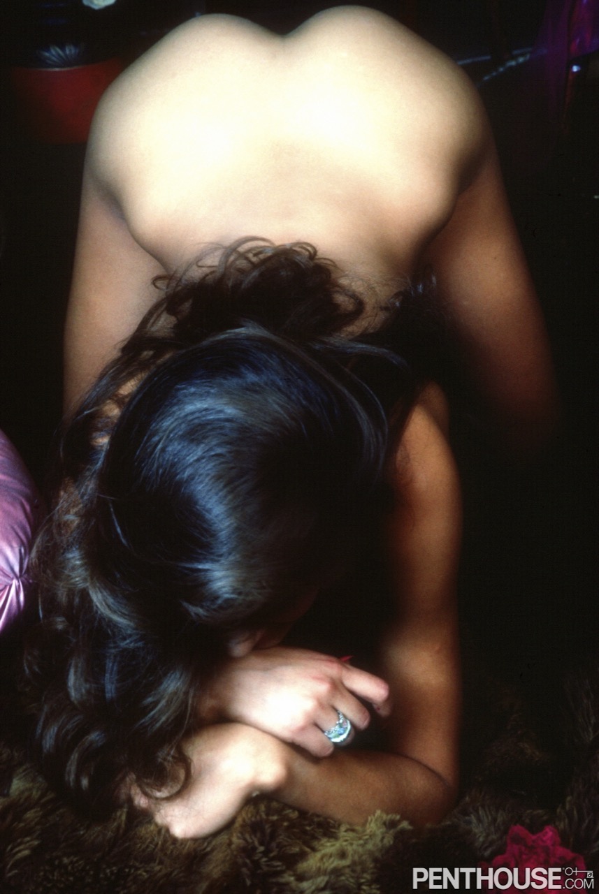 Michelle Bauer nude pic